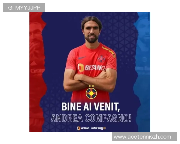 揭秘足球明星意大利炮手的真实身份与辉煌成就